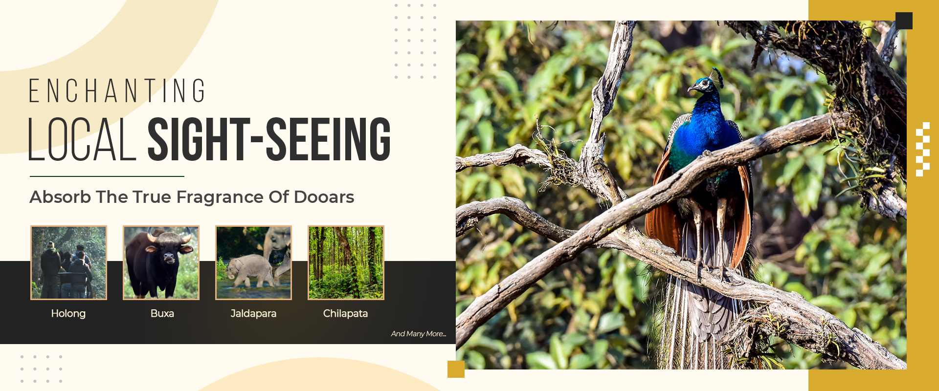 Oxytel Club & Resorts